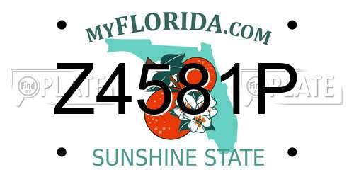 Z4581P Florida License Plate