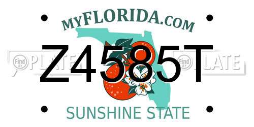 Z4585T Florida License Plate