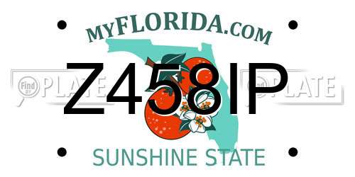 Z458IP Florida License Plate