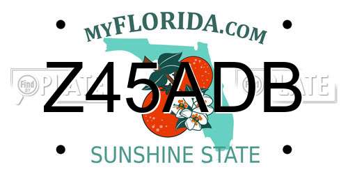 Z45ADB Florida License Plate
