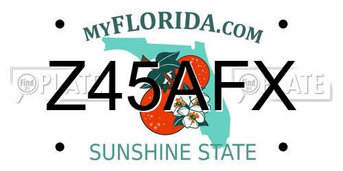 Z45AFX Florida License Plate