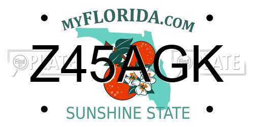Z45AGK Florida License Plate