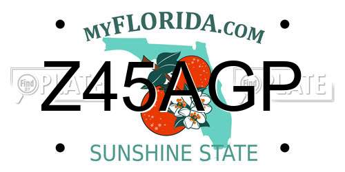 Z45AGP Florida License Plate