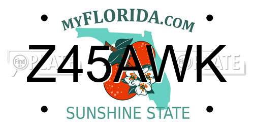 Z45AWK Florida License Plate