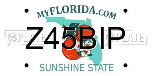 Z45BIP Florida License Plate