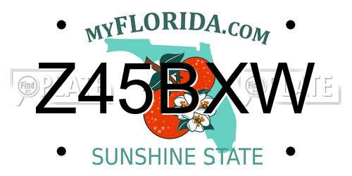 Z45BXW Florida License Plate