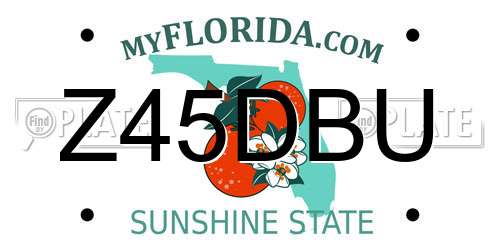 Z45DBU Florida License Plate