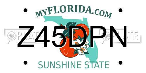 Z45DPN Florida License Plate