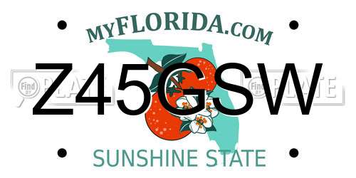 Z45GSW Florida License Plate
