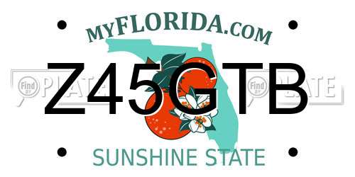 Z45GTB Florida License Plate