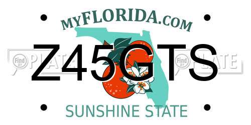 Z45GTS Florida License Plate