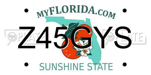 Z45GYS Florida License Plate