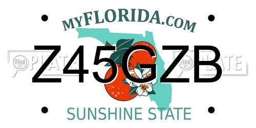Z45GZB Florida License Plate