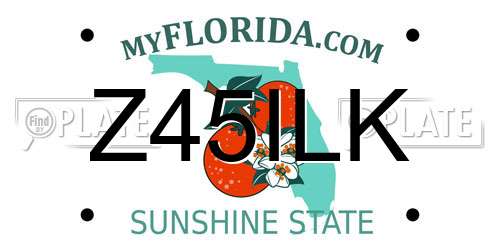 Z45ILK Florida License Plate