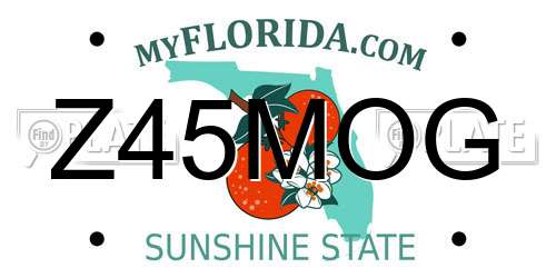 Z45MOG Florida License Plate