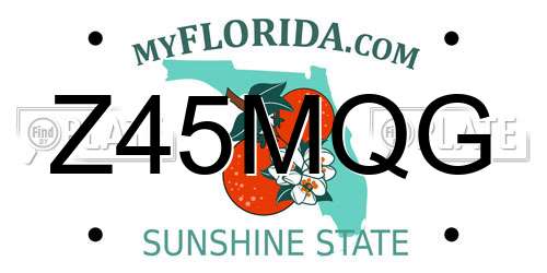 Z45MQG Florida License Plate