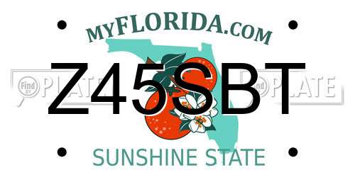 Z45SBT Florida License Plate