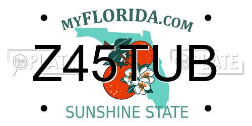 Z45TUB Florida License Plate