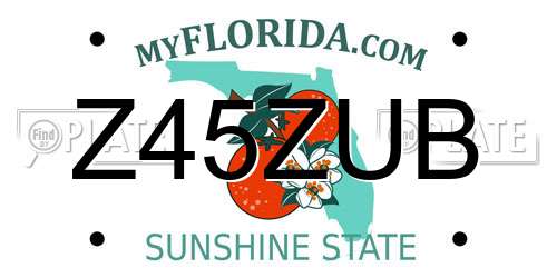 Z45ZUB Florida License Plate