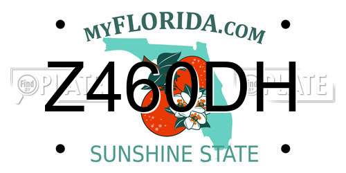 Z460DH Florida License Plate