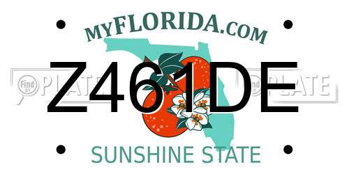 Z461DE Florida License Plate