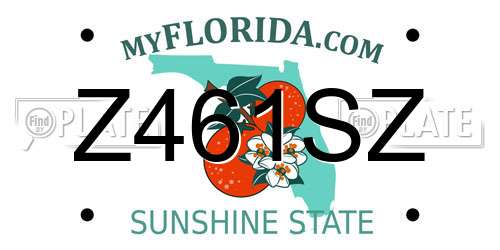 Z461SZ Florida License Plate
