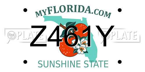 Z461Y Florida License Plate