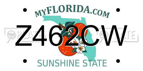 Z462CW Florida License Plate