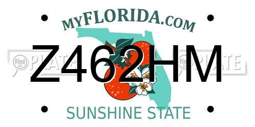 Z462HM Florida License Plate