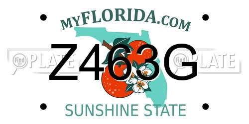 Z463G Florida License Plate