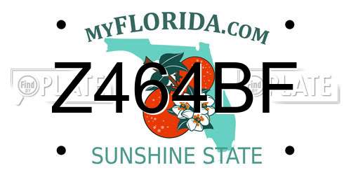 Z464BF Florida License Plate
