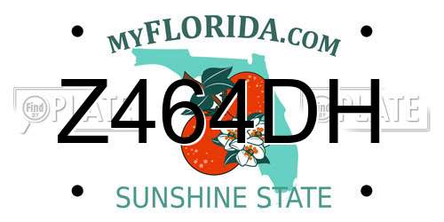Z464DH Florida License Plate