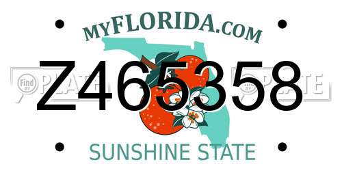 Z465358 Florida License Plate