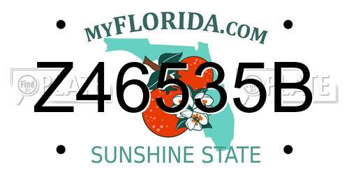Z46535B Florida License Plate