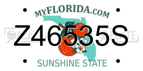 Z46535S Florida License Plate