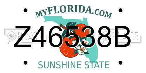 Z46538B Florida License Plate