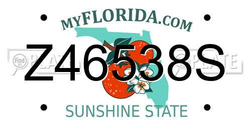 Z46538S Florida License Plate