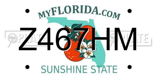Z467HM Florida License Plate