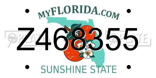 Z468355 Florida License Plate