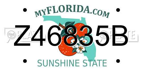 Z46835B Florida License Plate