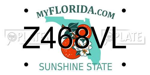 Z468VL Florida License Plate
