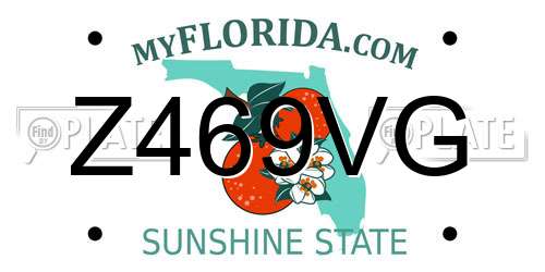 Z469VG Florida License Plate