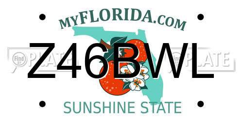 Z46BWL Florida License Plate