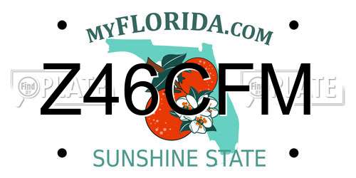 Z46CFM Florida License Plate