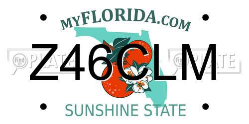 Z46CLM Florida License Plate