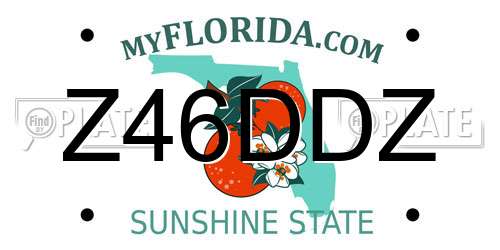 Z46DDZ Florida License Plate