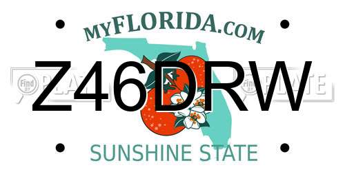 Z46DRW Florida License Plate