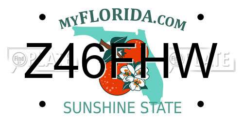 Z46FHW Florida License Plate