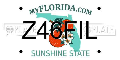 Z46FIL Florida License Plate