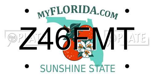 Z46FMT Florida License Plate